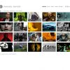 Samuel Bayer Photography Website. sb-01