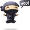 WooCommerce Workshop Success images