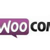 Writing a WordPress Plugin – Where to Begin woocommerce_logo