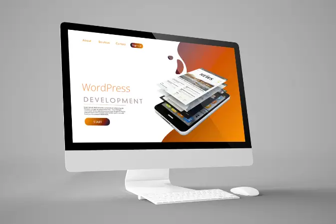 Website development